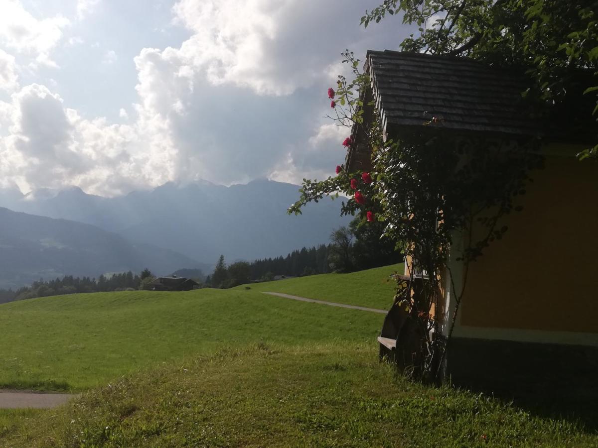 Appartement Steinerhof ويرفنوينغ المظهر الخارجي الصورة