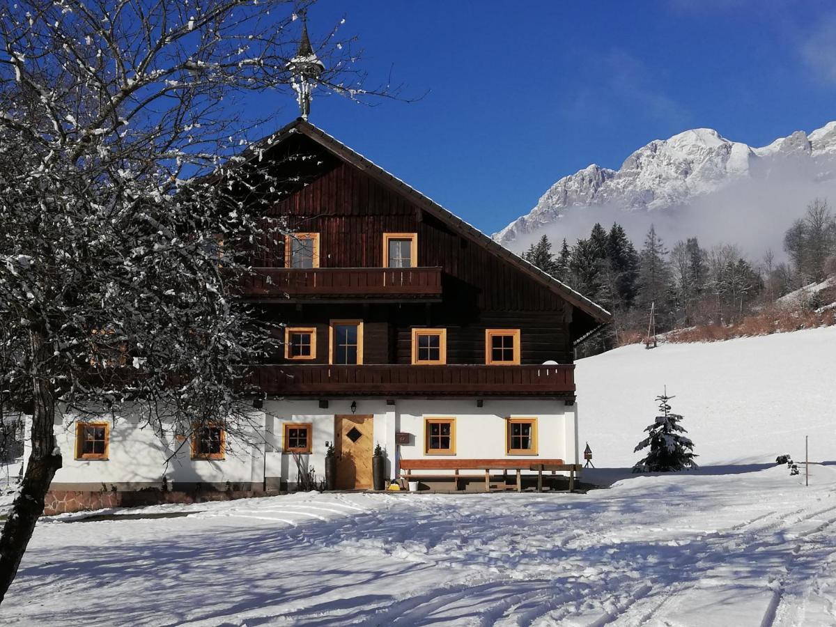 Appartement Steinerhof ويرفنوينغ المظهر الخارجي الصورة